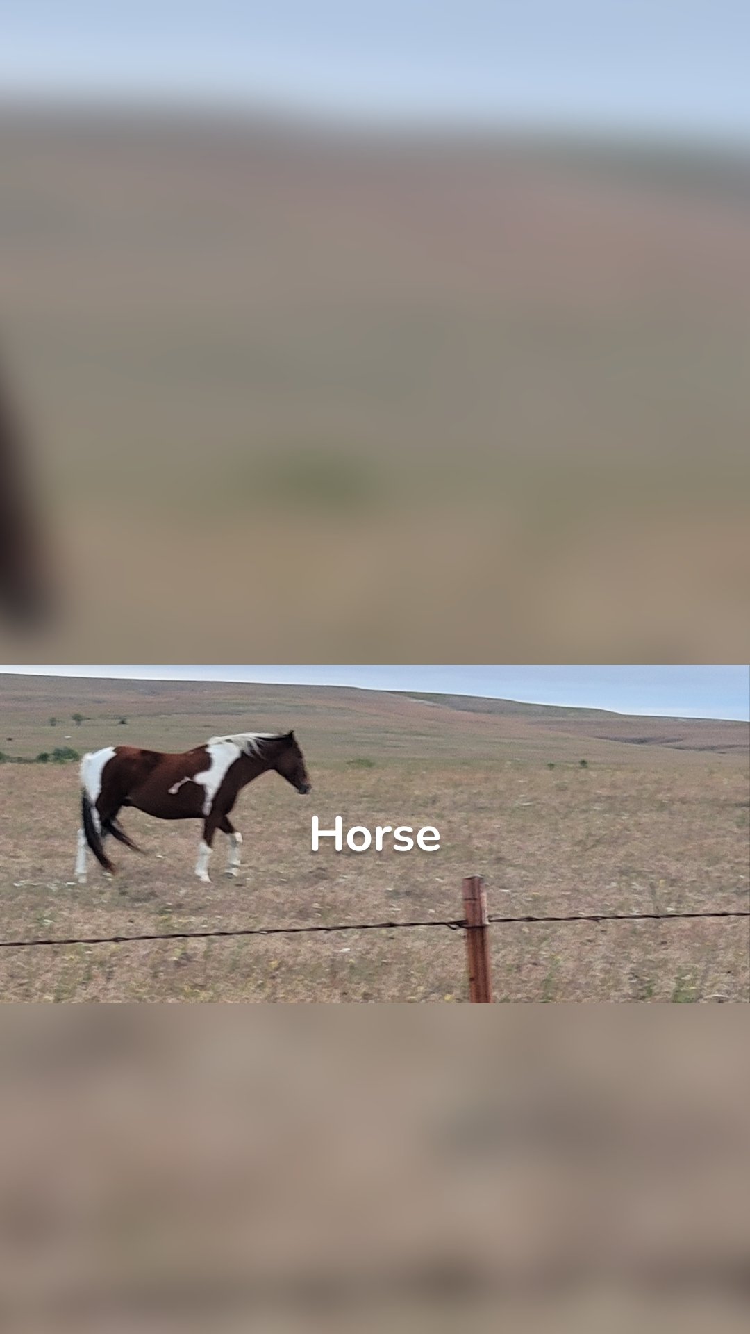 Checking out the swag